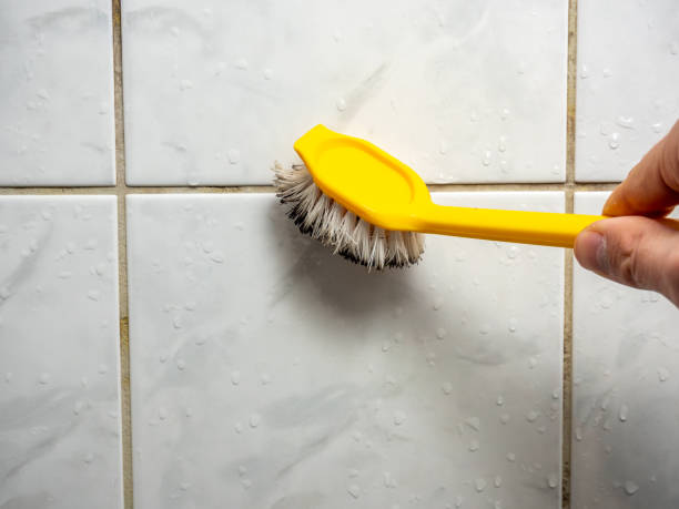 Best Local Mold Removal Service  in Inkerman, PA