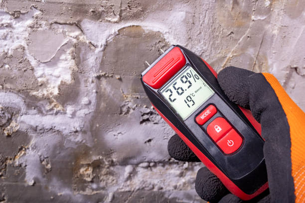 Best Office Mold Removal Services  in Inkerman, PA
