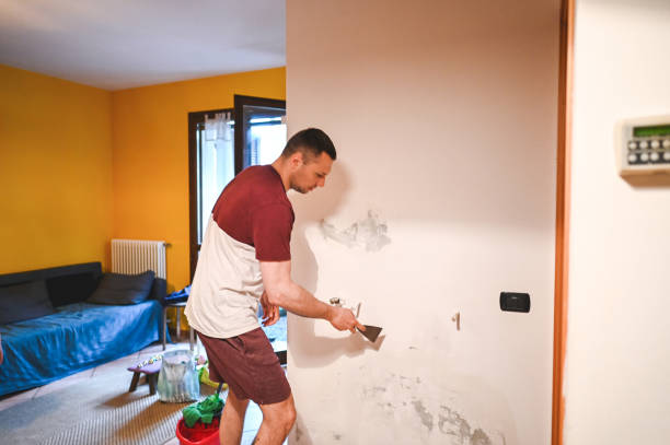 Best Crawl Space Mold Removal  in Inkerman, PA
